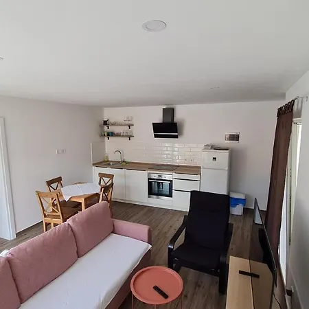 Apartment Mlinar - One Bedroom With Seaview