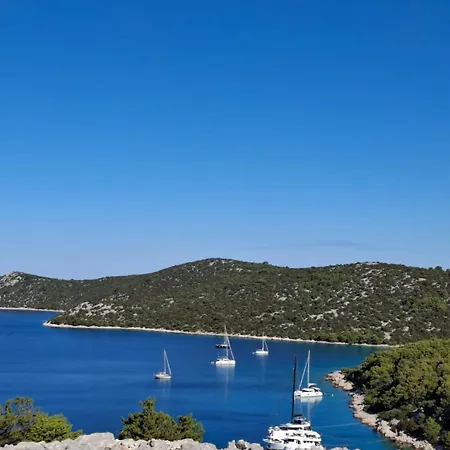 Apartment Mlinar - One Bedroom With Seaview