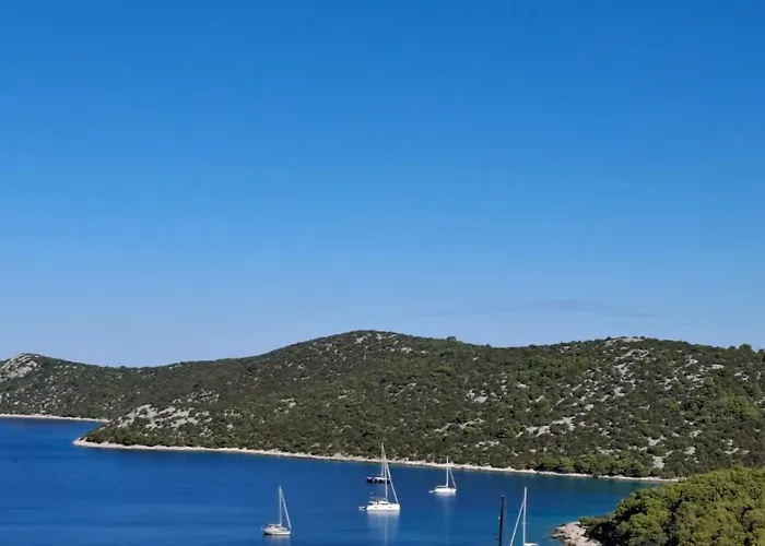 Appartamento Mlinar - One Bedroom With Seaview